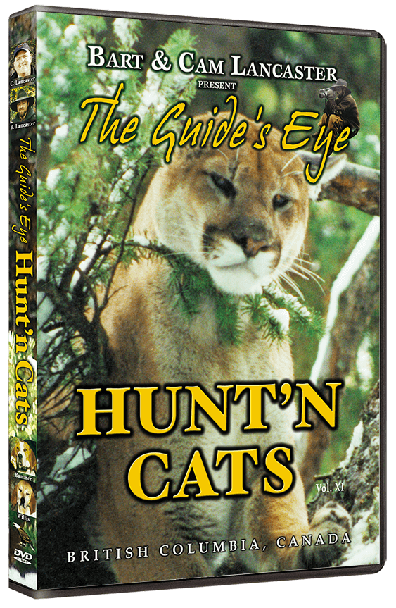 The Guide's Eye - Hunt'n Cats