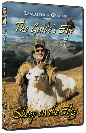 The Guide's Eye - Sheep on the Edge