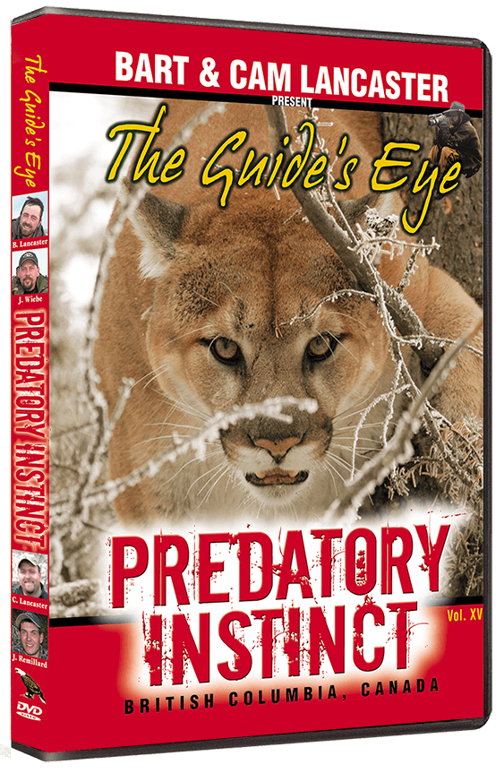 The Guide's Eye - Predatory Instincts